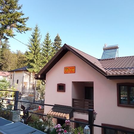 Casa Nicolas Buşteni Buitenkant foto