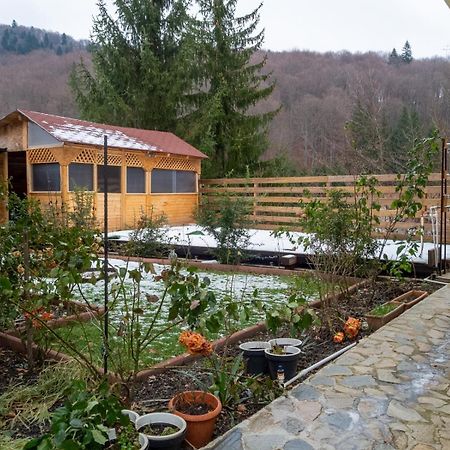 Casa Nicolas Buşteni Buitenkant foto