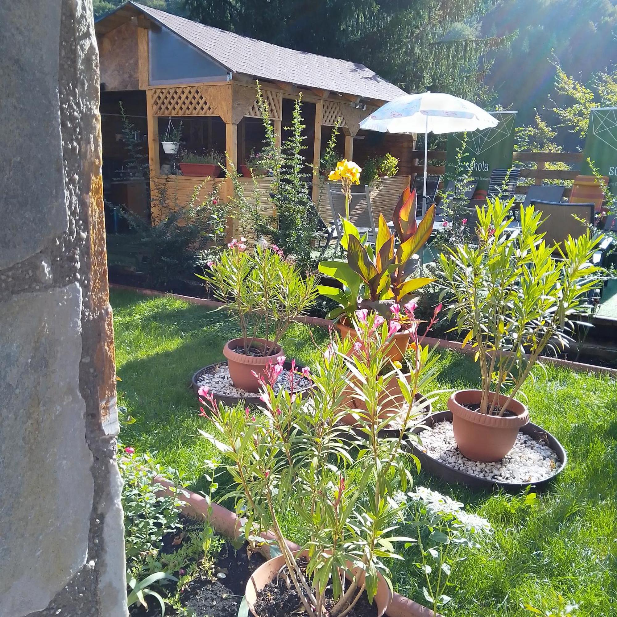 Casa Nicolas Buşteni Buitenkant foto