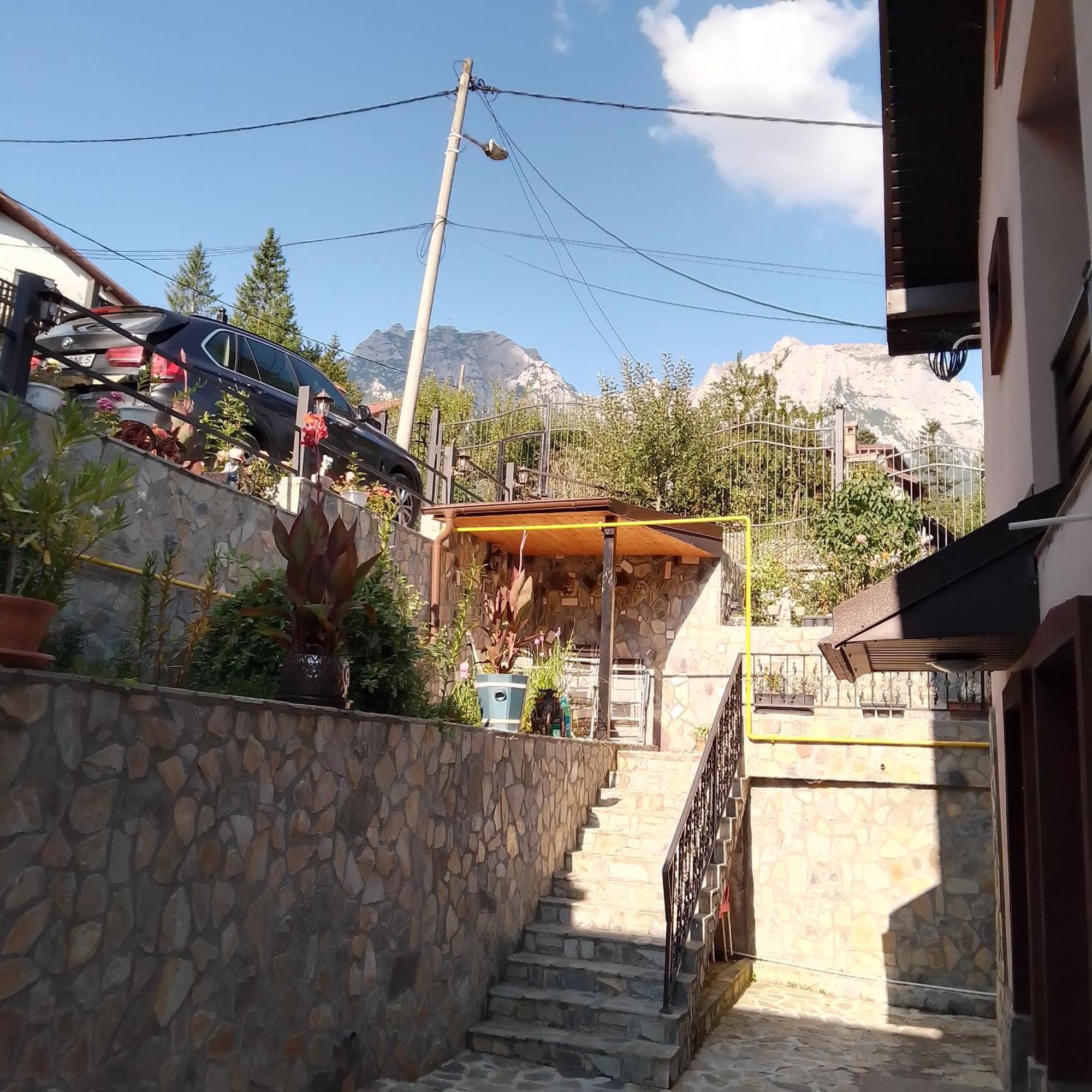 Casa Nicolas Buşteni Buitenkant foto