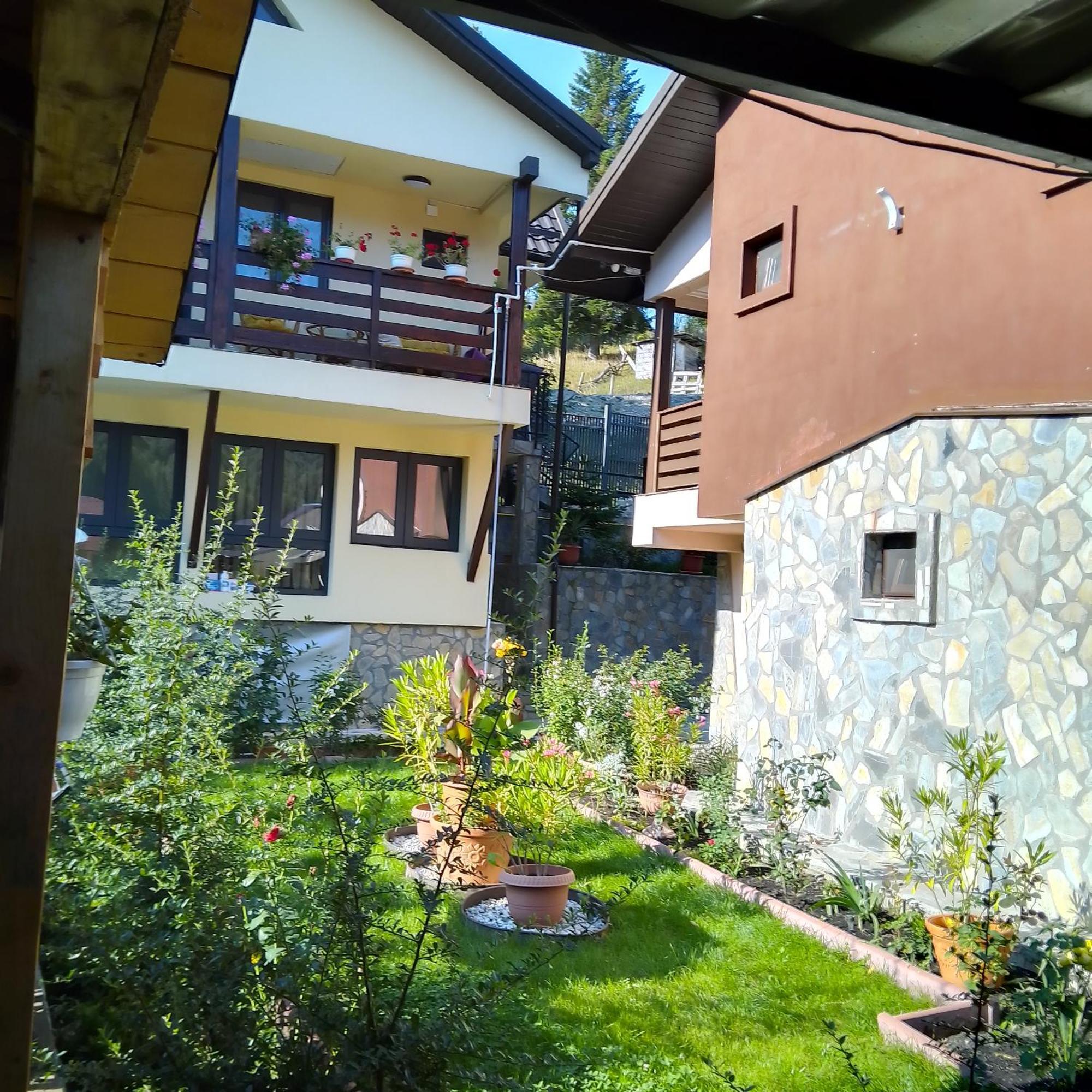 Casa Nicolas Buşteni Buitenkant foto